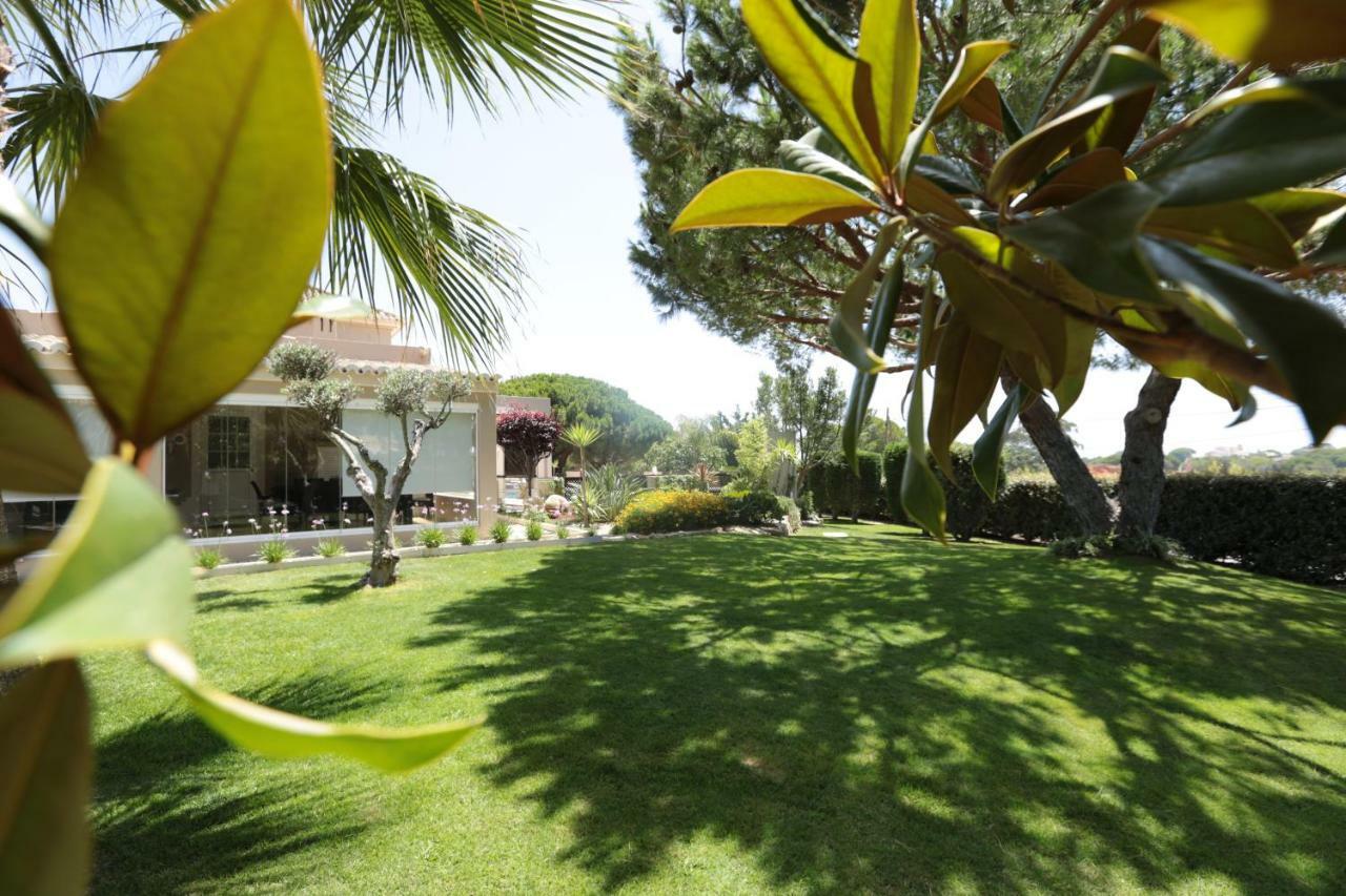 Quinta Do Pinheiro Manso - Holidays Villa - Marinha Beach Carvoeiro  Eksteriør billede