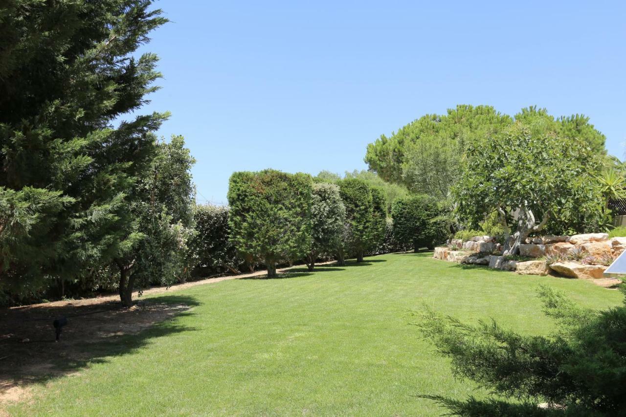 Quinta Do Pinheiro Manso - Holidays Villa - Marinha Beach Carvoeiro  Eksteriør billede