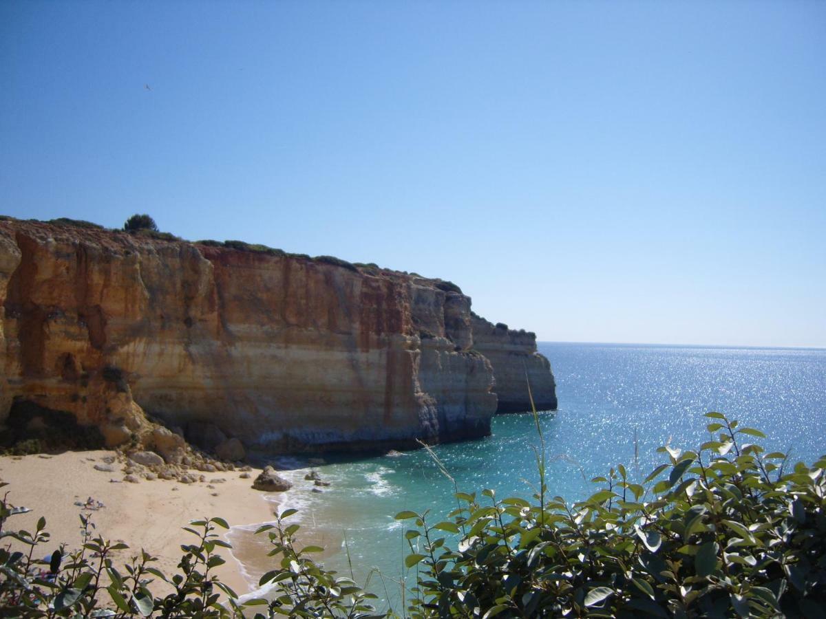 Quinta Do Pinheiro Manso - Holidays Villa - Marinha Beach Carvoeiro  Eksteriør billede