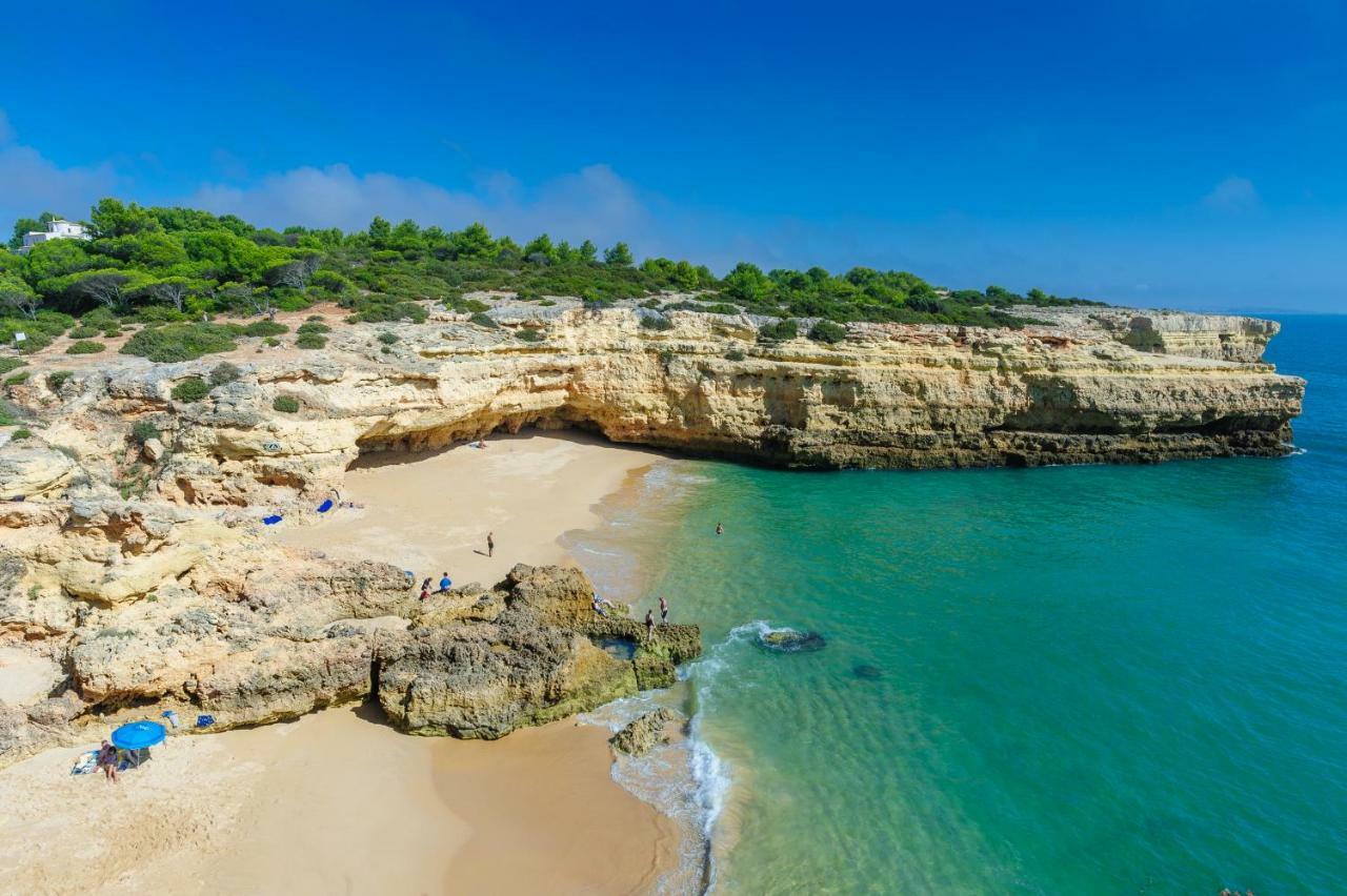 Quinta Do Pinheiro Manso - Holidays Villa - Marinha Beach Carvoeiro  Eksteriør billede